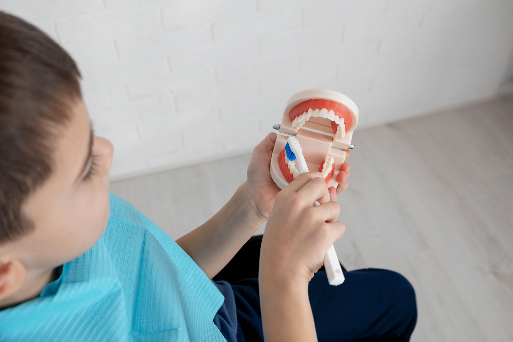 Junge übt das Zähneputzen an einem großen anatomischen Zahnmodell mit einer weißen Zahnbürste